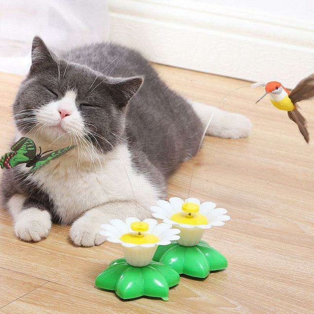 Electric Interactive Flying Insect Toy for Cats - Engaging Fun with Realistic Movements