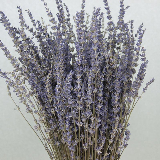Elegance in Bloom: Exquisite Dried Lavender Bouquet for Weddings and Home Aesthetics