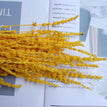 yellow / 1 bouquet
