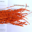 orange / 1 bouquet