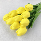 G-yellow  tulip