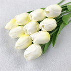 C-light yellow tulip