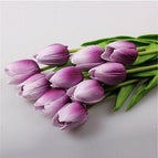 M-White purple tulip