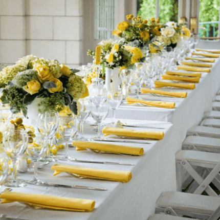 Elegant 25-Piece Satin Napkin Collection - Premium Table Linens for Special Events and Celebrations - Très Elite