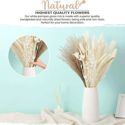 Elegant 85-Piece Pampas Grass Floral DIY Decoration Kit - Très Elite