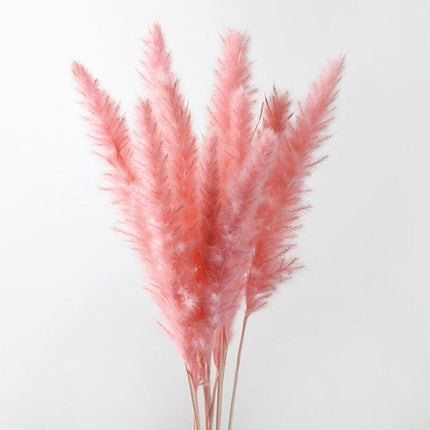 Elegant Dried Floral Arrangement with Pampas Grass - Ideal for Home Decor and Special Occasions