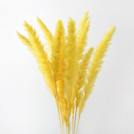 Elegant Dried Floral Arrangement with Pampas Grass - Ideal for Home Decor and Special Occasions