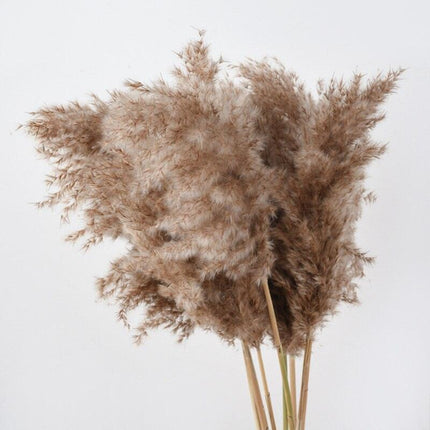 Elegant Dried Floral Arrangement with Pampas Grass - Ideal for Home Decor and Special Occasions