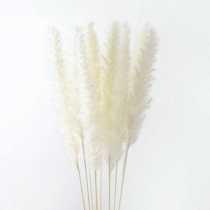 Elegant Dried Floral Arrangement with Pampas Grass - Ideal for Home Decor and Special Occasions