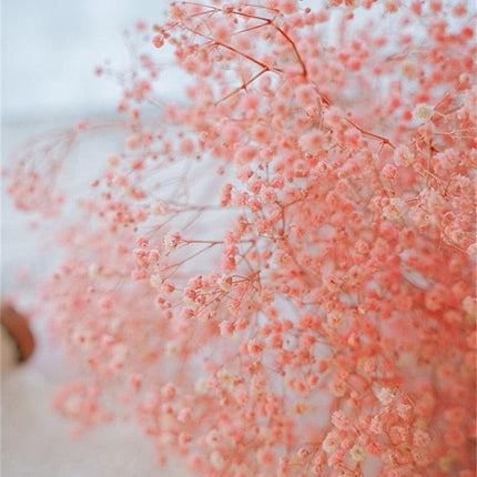 Elegant Dried Gypsophila Bouquet - Ideal for Weddings & Rustic Home Decor - Très Elite