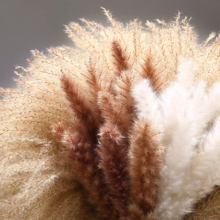 Elegant Dried Pampas Grass Arrangement: Add Rustic Beauty to Your Home Decor - Très Elite
