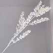 White / 30g