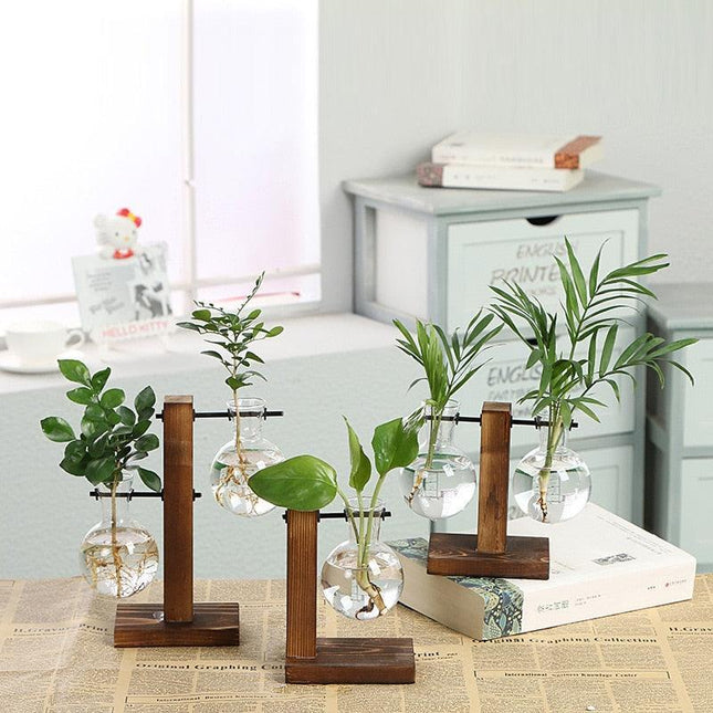 Elegant Glass Planter Set with Wooden Stand - Stylish Indoor Garden Showcase