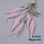 Second-generation 6-