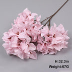 3-pronged bougainvil