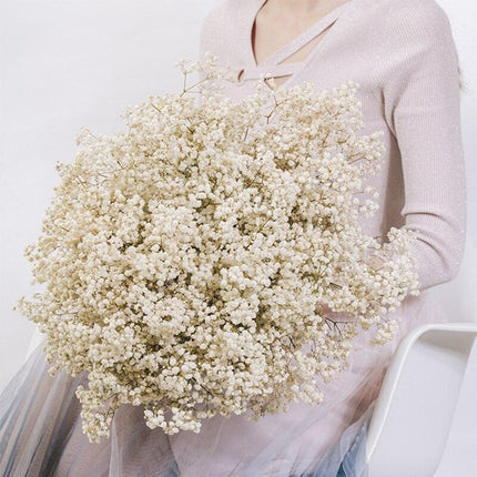 Elegant Preserved Baby's Breath Flowers: A Stylish Touch for Your Events and Home Decor - Très Elite