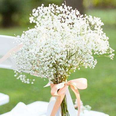 Elegant Preserved Baby's Breath Flowers: A Stylish Touch for Your Events and Home Decor - Très Elite