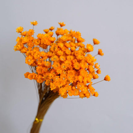 Elegant Starry Mini Floral Arrangement - Perfect for Weddings and Home Accents