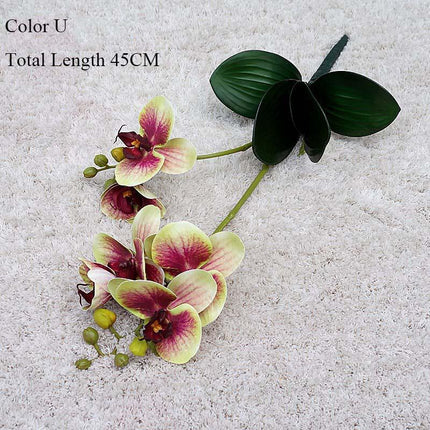 Elegant White Orchid Blooms for Upscale Home and Event Styling..