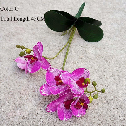 Elegant White Orchid Blooms for Upscale Home and Event Styling..