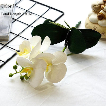 Elegant White Orchid Blooms for Upscale Home and Event Styling..