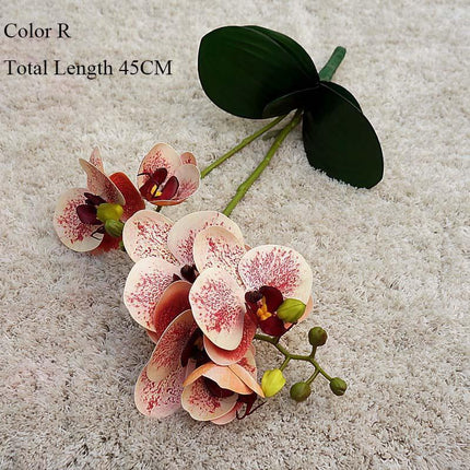 Elegant White Orchid Blooms for Upscale Home and Event Styling..