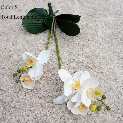 Elegant White Orchid Blooms for Upscale Home and Event Styling..