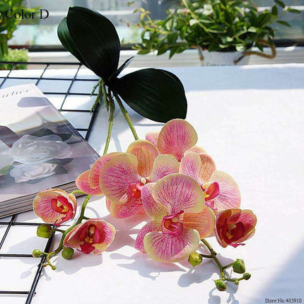 Elegant White Orchid Blooms for Upscale Home and Event Styling..