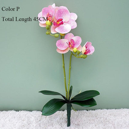 Elegant White Orchid Blooms for Upscale Home and Event Styling..