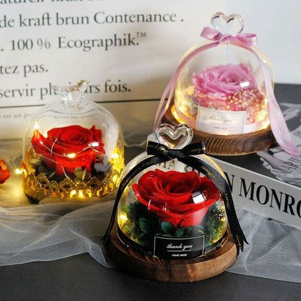 Enchanted Rose Glass Dome with Twinkling LED Lights - Très Elite