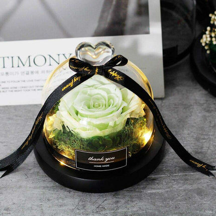 Enchanted Rose Glass Dome with Twinkling LED Lights - Très Elite