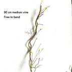 90cm medium vine