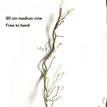 90cm medium vine
