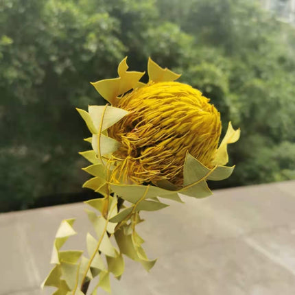 Eternal Banksia Pagoda Floral Arrangement - 30cm Unique Organic Centerpiece for Home and Special Events