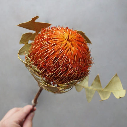 Eternal Banksia Pagoda Floral Arrangement - 30cm Unique Organic Centerpiece for Home and Special Events