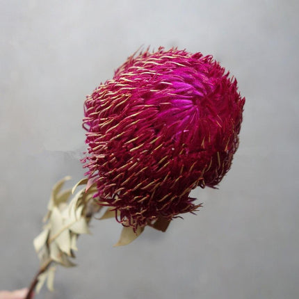 Eternal Banksia Pagoda Floral Arrangement - 30cm Unique Organic Centerpiece for Home and Special Events