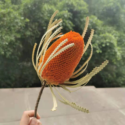 Eternal Banksia Pagoda Floral Arrangement - 30cm Unique Organic Centerpiece for Home and Special Events