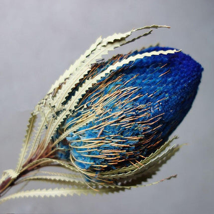 Eternal Banksia Pagoda Floral Arrangement - 30cm Unique Organic Centerpiece for Home and Special Events