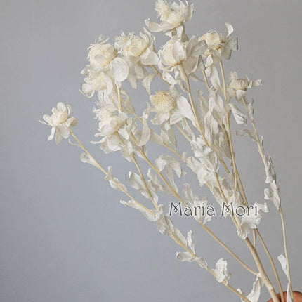 Eternal Charm: Artisan Dried Flower Arrangement for Home and Wedding Decor- Très Elite- Très Elite