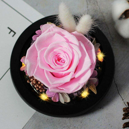 Eternal Elegance: Illuminated Glass Enchanted Rose - Très Elite