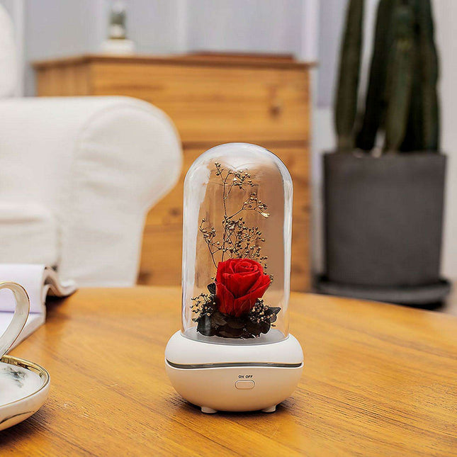 Eternal Elegance LED Rose Dome with Aromatherapy and USB Power - Captivating Floral Accent Light - Timeless Botanical Experience - Preserved Rose Delight