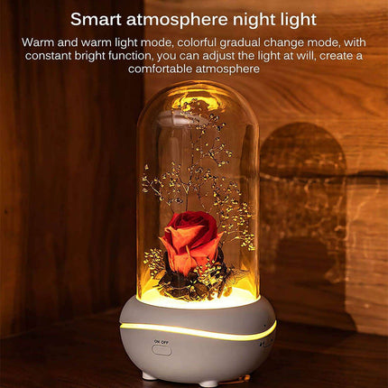 Eternal Elegance LED Rose Dome with Aromatherapy and USB Power - Captivating Floral Accent Light - Timeless Botanical Experience - Preserved Rose Delight