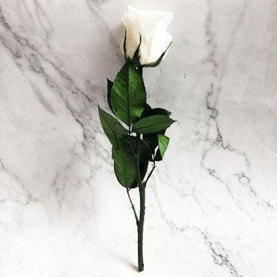Eternal Elegance Preserved Rose Stem - The Perfect Gift for Weddings, Home Decor & Mother's Day - Très Elite