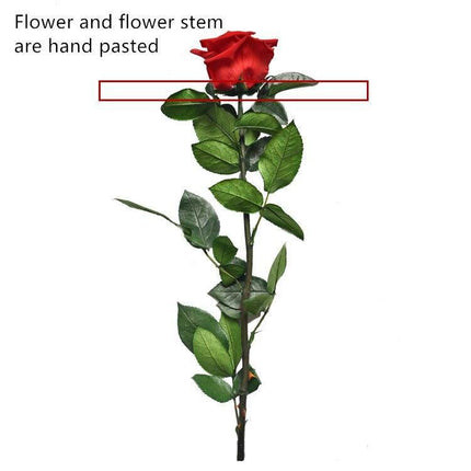 Eternal Elegance Preserved Rose Stem - The Perfect Gift for Weddings, Home Decor & Mother's Day - Très Elite