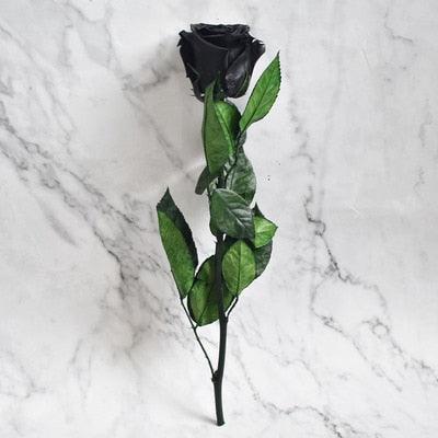 Eternal Elegance Preserved Rose Stem - The Perfect Gift for Weddings, Home Decor & Mother's Day - Très Elite