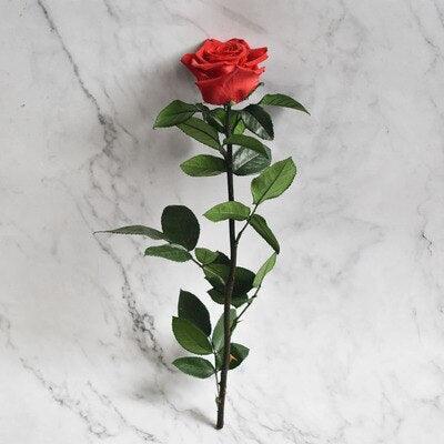 Eternal Elegance Preserved Rose Stem - The Perfect Gift for Weddings, Home Decor & Mother's Day - Très Elite
