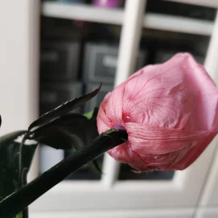 Eternal Elegance Preserved Rose Stem - The Perfect Gift for Weddings, Home Decor & Mother's Day - Très Elite