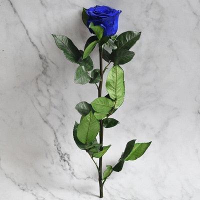 Eternal Elegance Preserved Rose Stem - The Perfect Gift for Weddings, Home Decor & Mother's Day - Très Elite