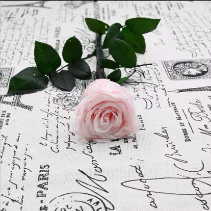 Eternal Elegance Preserved Rose Stem - The Perfect Gift for Weddings, Home Decor & Mother's Day - Très Elite