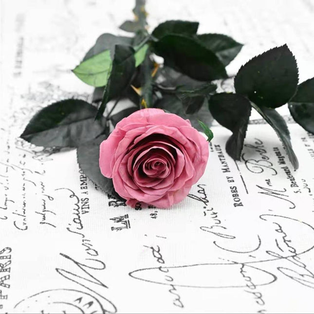 Eternal Elegance Preserved Rose Stem - The Perfect Gift for Weddings, Home Decor & Mother's Day